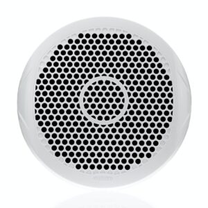 LOA SIÊU TRẦM - SUBWOOFER FUSION MS-SW10